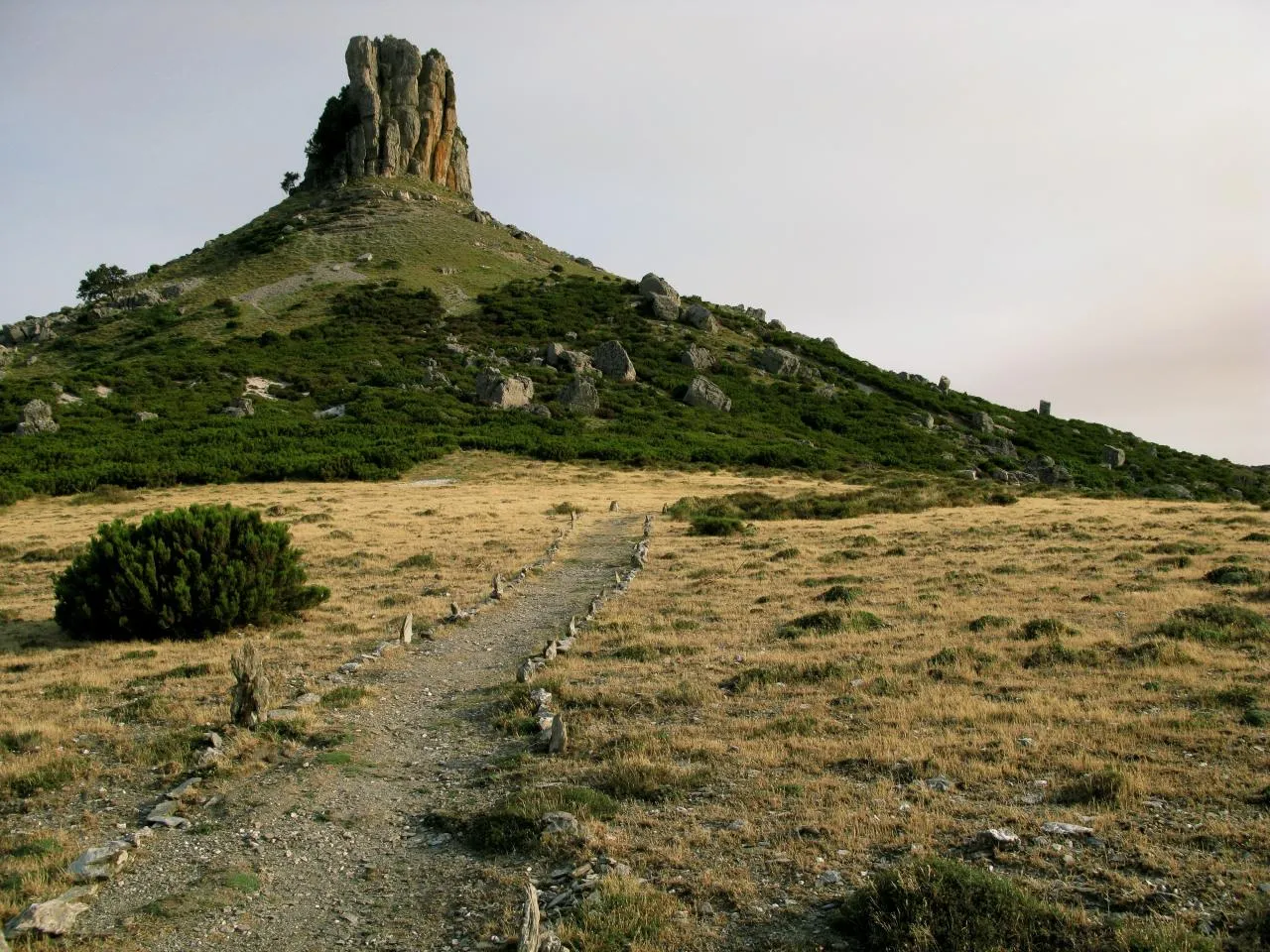 tacco dell'ogliastra