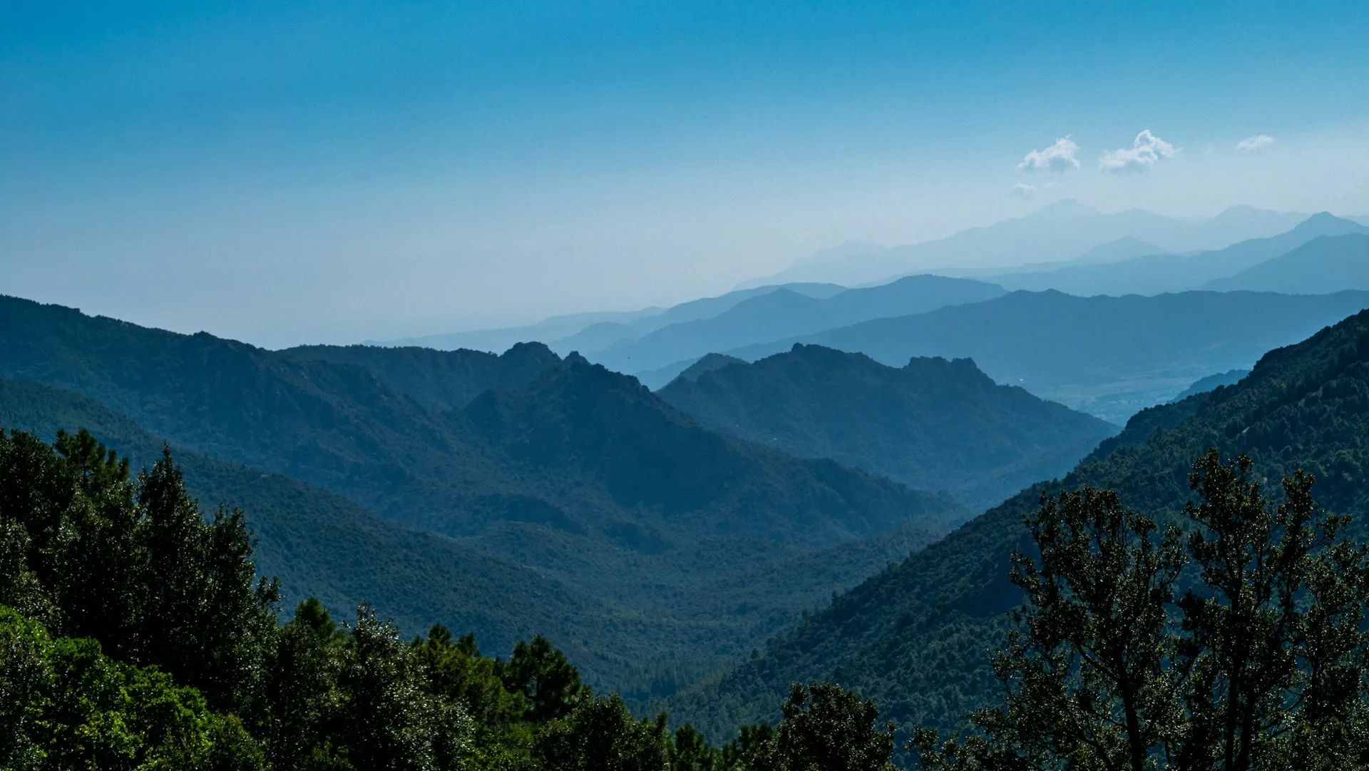 corsica montagne